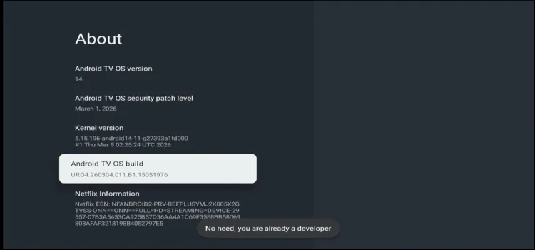 Step-6-you-are-a-developer